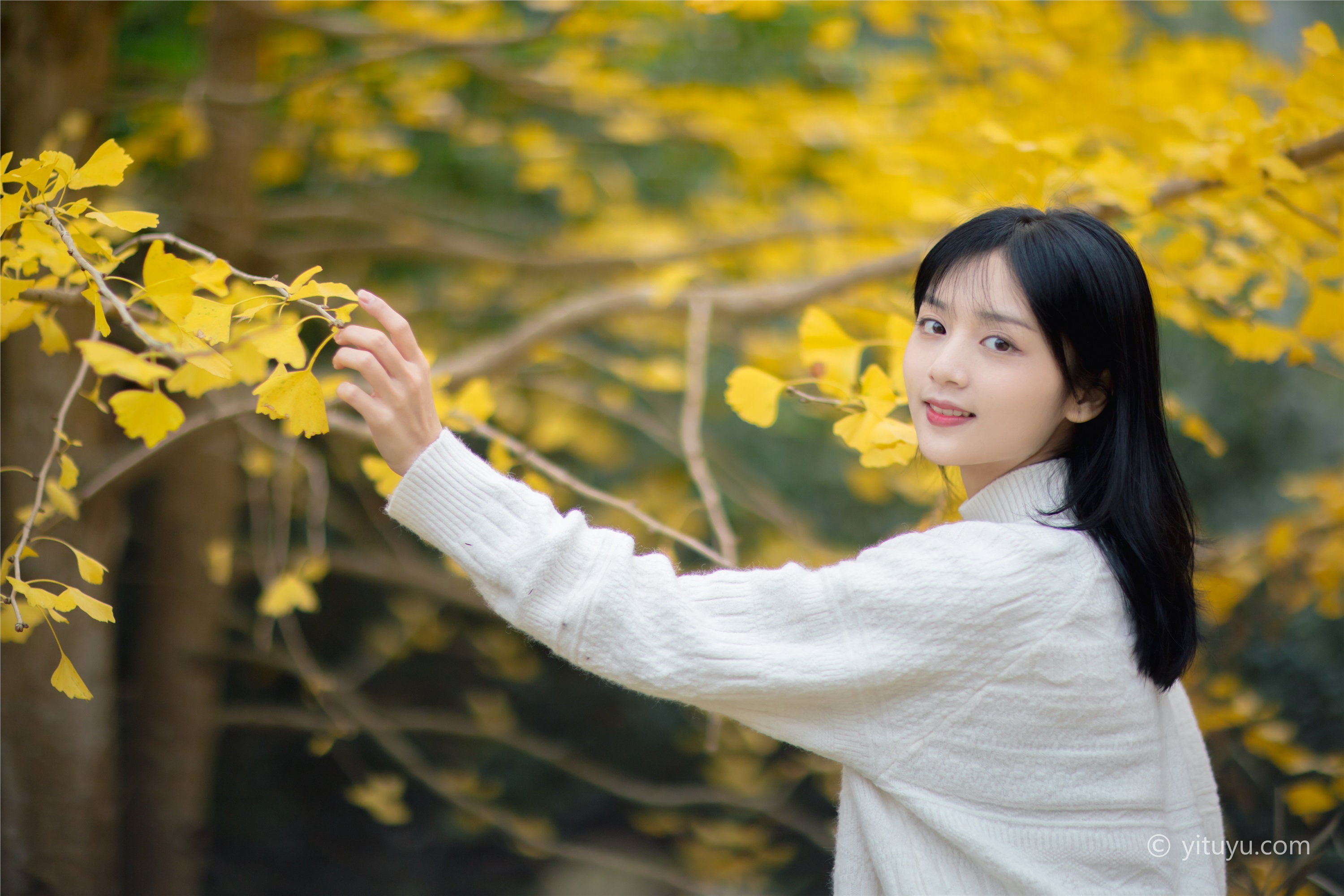 YITUYU艺图语 2021.08.14 银杏之恋 雨文